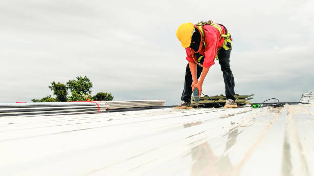 Professional Roofing Service in Lawton, IA